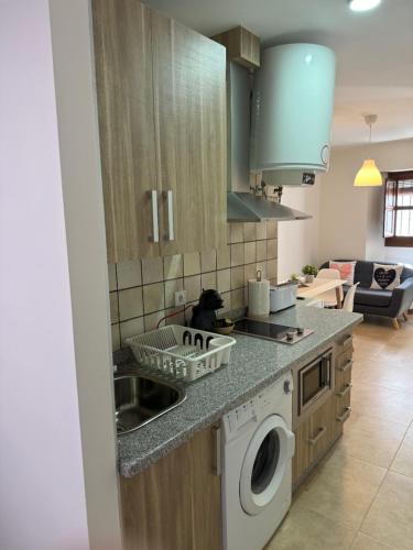 a kitchen with a sink and a dish washer at Apartamentos Peñaflor in Guadix