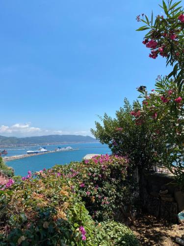 a view of the ocean from a hill with flowers at Ninfa Roda B&B in Vietri sul Mare
