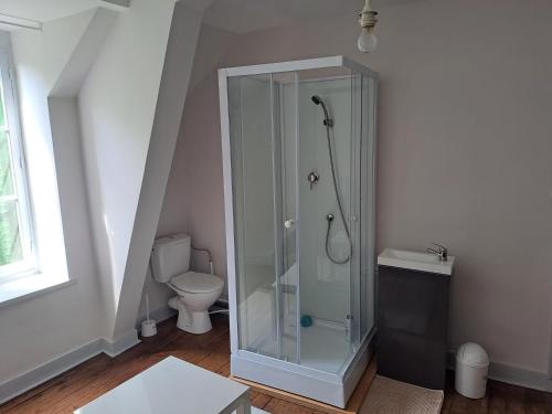une salle de bain avec douche et toilettes dans l'établissement chambre prive standard, à Châteauroux