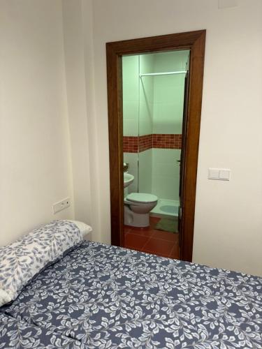 a bedroom with a bed and a bathroom with a toilet at Apartamentos Peñaflor in Guadix