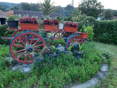 a red wagon with plants and potted plants on it at Vila Castell in Stara Moravica