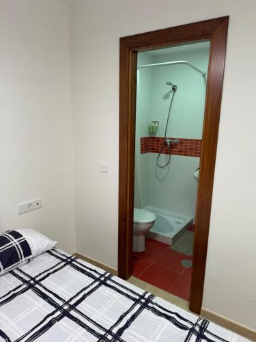 a bathroom with a bed and a shower with a toilet at Apartamentos Peñaflor in Guadix