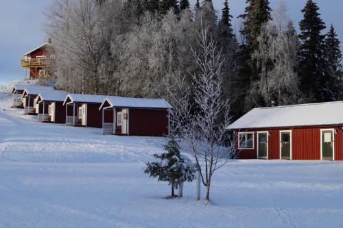 Ristafallets Camping في Nyland: شجرة صغيرة في الثلج بجانب مبنى