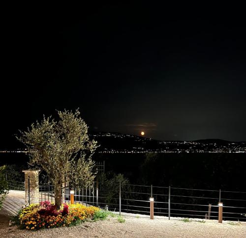 a tree in a flower garden at night at Colago Private Villas Lake Garda in Toscolano Maderno