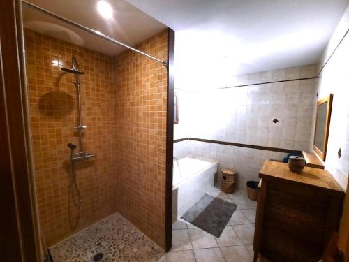 a bathroom with a shower and a bath tub at L'appel de la foret in Rocroi
