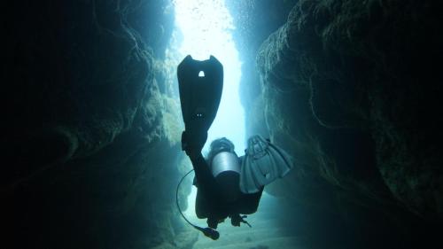 Επισκέπτες που μένουν στο Dive and Surf 1