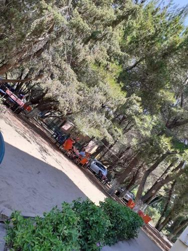 Divjaka Parkにある庭