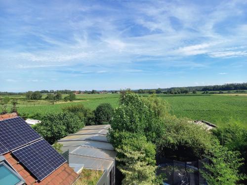 Photo de la galerie de l'établissement Gîte le Bambou Jama, à Aspach-le-Haut