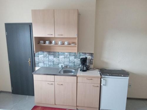a small kitchen with a sink and a refrigerator at Ferienwohnung Sonnenblick in Adorf