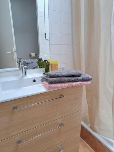 une salle de bain avec un lavabo et un miroir dans l'établissement Maisonnette l'Olivier Bleu, à Nantes