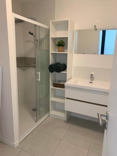 Grandchamp-des-FontainesにあるMaison 3 pièces - plain pied - 2 chambres lits Queen Size avec wifiのシャワーと洗面台付きのバスルーム