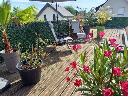 Photo de la galerie de l'établissement Gîte le Bambou Jama, à Aspach-le-Haut