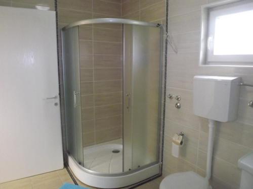 a shower with a glass door in a bathroom at Guest House Zasavica in Zasavica Druga