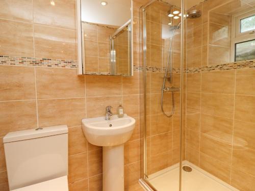 ein Badezimmer mit Toilette, Waschbecken und Dusche in der Unterkunft Woodcutters Cottage in Haltwhistle