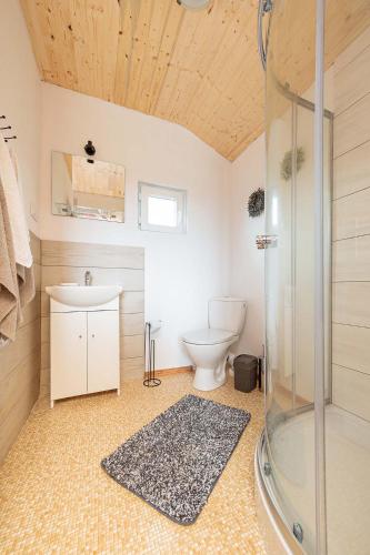 a bathroom with a shower and a toilet and a sink at Chatki u Atki in Darłowo