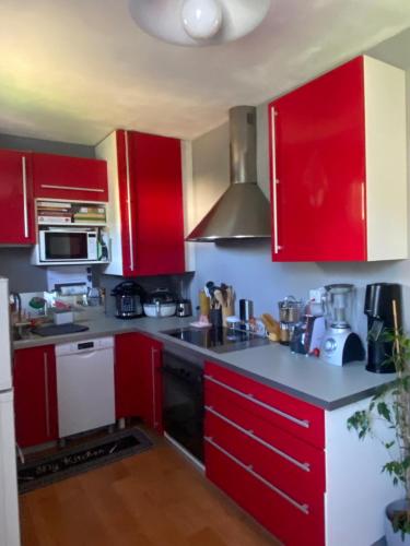 a red kitchen with red cabinets and appliances at Appartement T3 dans résidence calme in Vizille