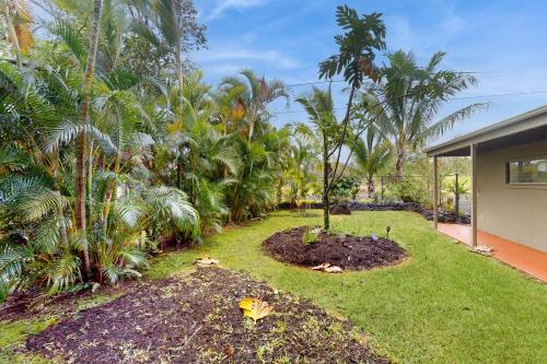 Gallery image of Tropical Dolphin B in Pahoa
