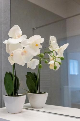 two white flowers in white vases on a table at King Apartamenty Galaxy in Szczecin