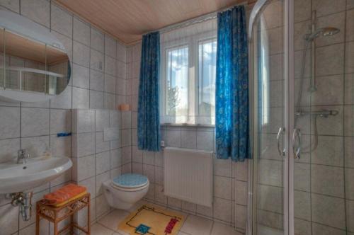 a bathroom with a shower and a toilet and a sink at Ferienhaus in Bärnau mit Großem Garten in Bärnau