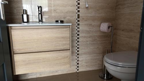 a bathroom with a sink and a toilet at Pensiunea Royal Panzió in Praid