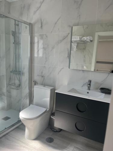 a bathroom with a toilet and a sink and a shower at Villa Amir in Fuengirola