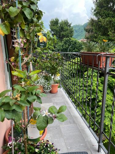 Un jardín fuera de Homely Fiorano