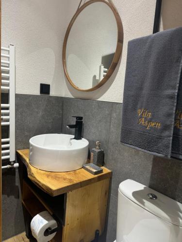 a bathroom with a sink and a mirror and a toilet at Vila Aspen - Mountain View Apartments in Delčevo