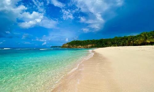 a beach with turquoise water and palm trees at Bungalow élégant à Anse-Bertrand avec jardin privé in Anse-Bertrand