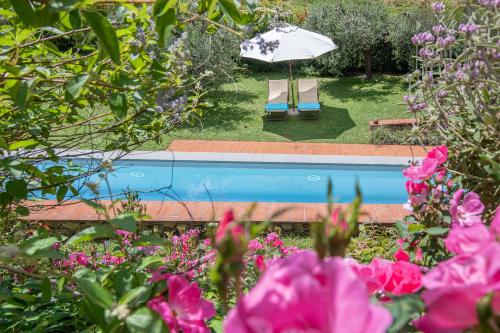 Bazén v ubytování La Casa Toscane nebo v jeho okolí