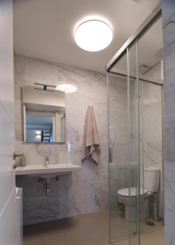 a bathroom with a sink and a shower and a toilet at V11apartamentos 4 in Archidona