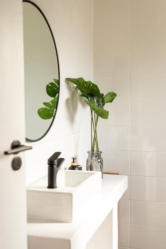 a bathroom with a white sink and a mirror at Ocean Whisper Unit 79 in Hermanus