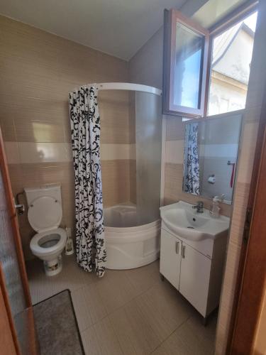 a bathroom with a toilet and a shower and a sink at Casa Sali in Turda