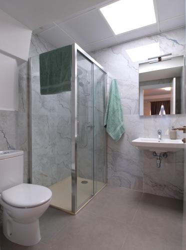 a bathroom with a shower and a toilet and a sink at V11apartamentos 3 in Archidona