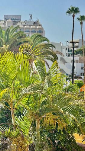 Ocean view apartment in Orlando