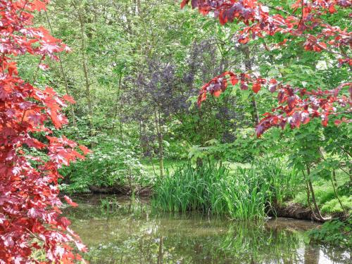 a pond in a garden with trees and flowers at Annexe in Hull