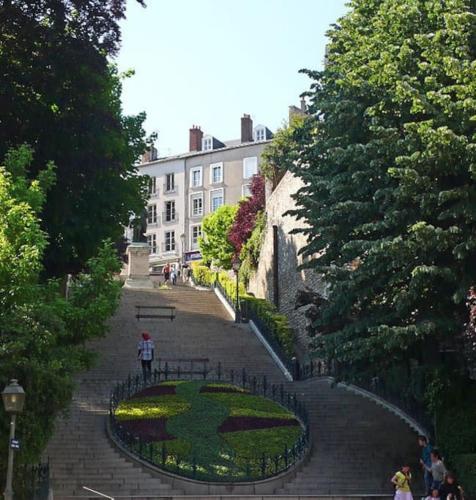 un bâtiment avec un jardin en face d'un parc dans l'établissement Gîte du Beauvoir Hyper Centre, à Blois