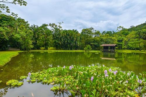 a pond in a park with a small building in the middle at Lands in Love Hotel and Resort in Colonia Palmareña