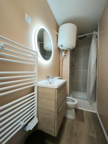 une salle de bain avec un lavabo, des toilettes et un miroir dans l'établissement Le Mirador de Beau Séjour, à Montpellier