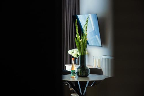 TV a/nebo společenská místnost v ubytování Apartamenty I SORAU