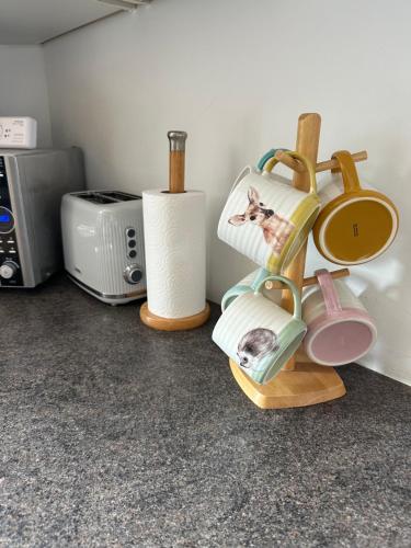 a kitchen with a shelf with dishes and a microwave at My Alba Home in Fife
