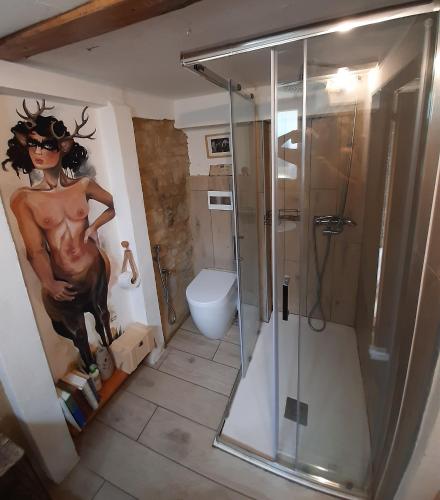 a bathroom with a shower and a toilet at Oobeh Country House in Roncovetro