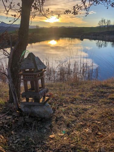 a bench sitting next to a tree next to a lake at Oobeh Country House in Roncovetro