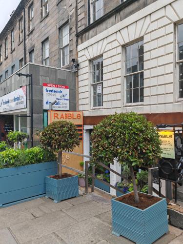 two trees in pots in front of a building at Frederick House Hotel in Edinburgh
