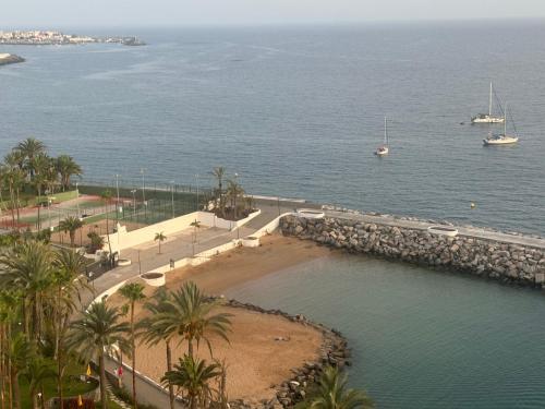 a view of a body of water with palm trees at Penthouse Urbanizacion Montemarina Anfi del Mar in Mogán
