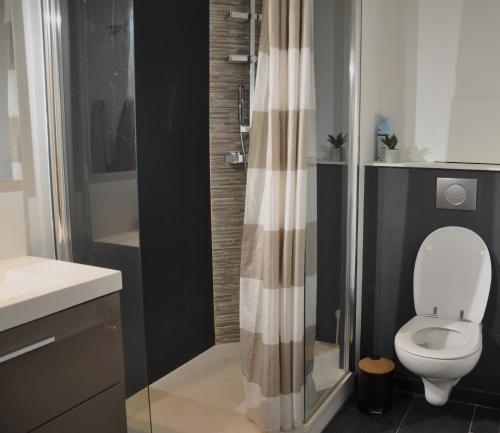 une salle de bain avec toilettes et douche dans l'établissement Le 64 Appartement cosy et calme en Centre-ville, à Charleville-Mézières
