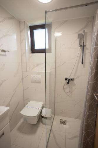a white bathroom with a shower and a toilet at Vila Oaza mira Golija in Golija