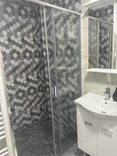 a bathroom with a shower and a sink at Apartman Aura in Travnik