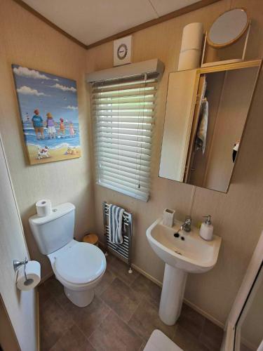 a bathroom with a toilet and a sink at Premium Holiday Home in The New Forest at Hoburne Bashley - Leisure Passes Available to Purchase in New Milton