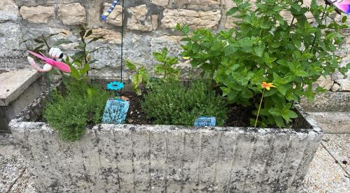 a concrete planter with plants and flowers in it at La maison papillon in Tonnerre