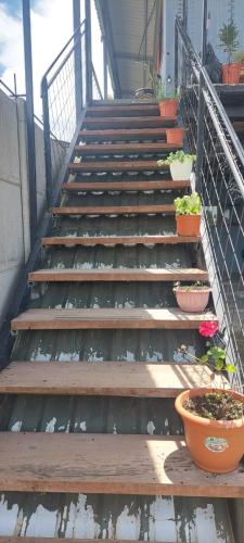 zestaw schodów z doniczkowymi roślinami na nich w obiekcie Siary Aparment 2 w mieście Monteverde